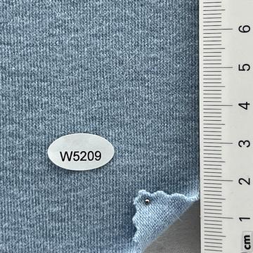 5209 Pale Blue