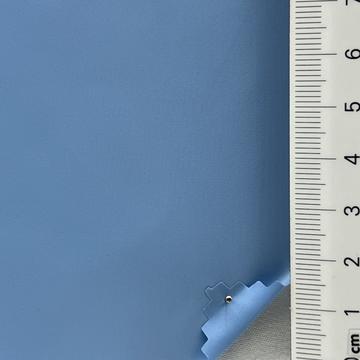 21 Pale Blue