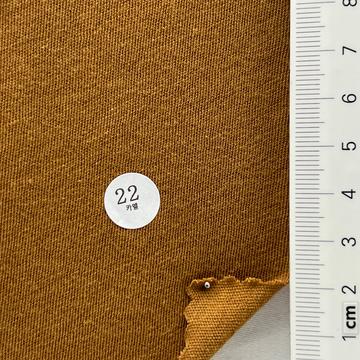 22 Camel