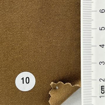 10 Camel