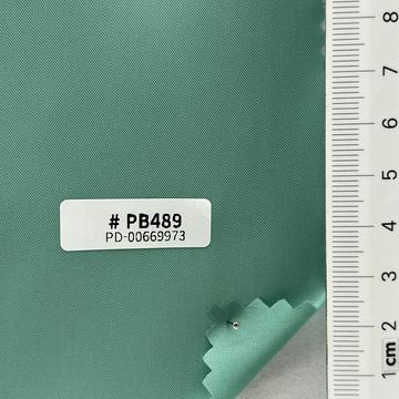 PB489 Pale Green