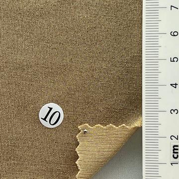 10 Camel
