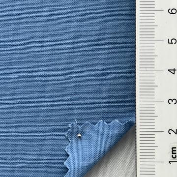 진소라 Pale Blue