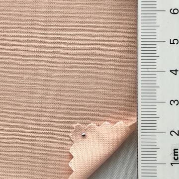 살구 Pale Orange
