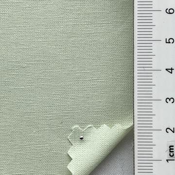 A/민트 Pale Green