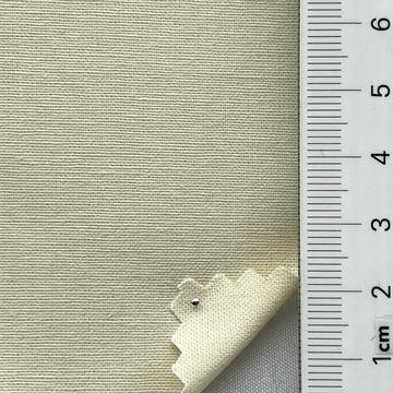 연베이지 Beige