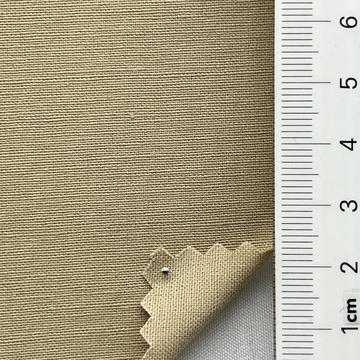 베이지 Beige