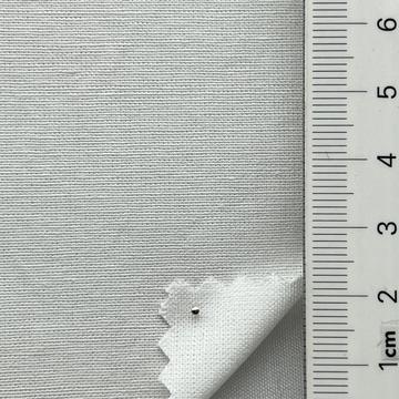 백색 White
