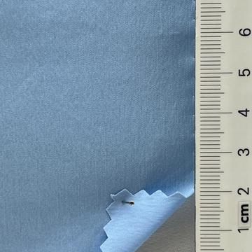블루 Pale Blue