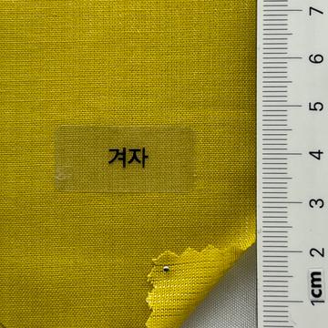 겨자 Yellow