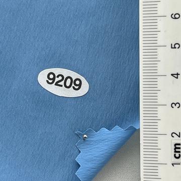 9209 Pale Blue