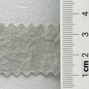 21 Gray