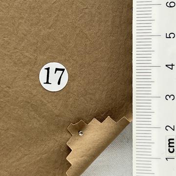 17 Camel