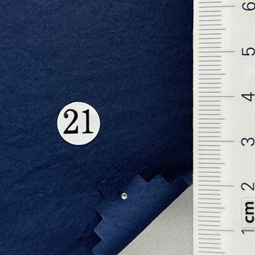 21 Navy