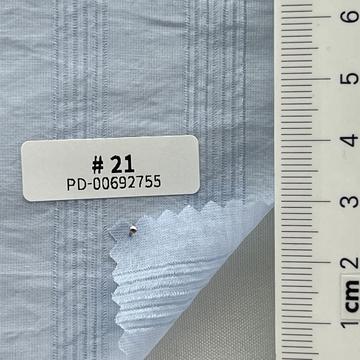 21 Pale Blue
