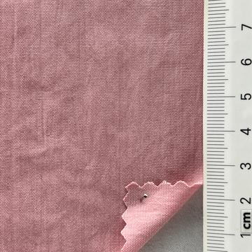 6 Pale Pink