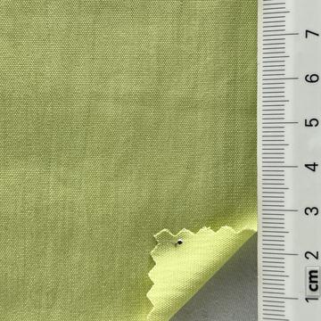 11 Pale Green