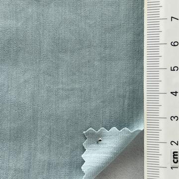 19 Pale Blue