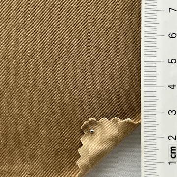 22 Camel
