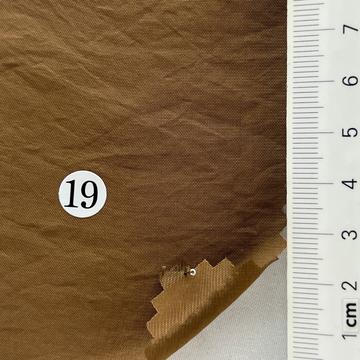 19 Camel