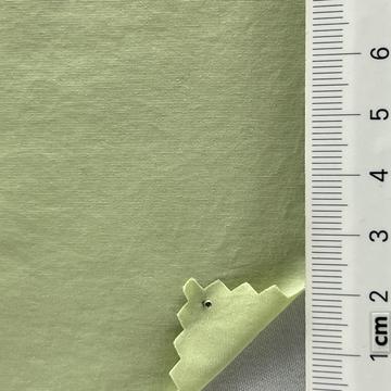 5 Pale Green
