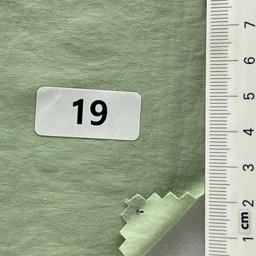 19 Pale Green
