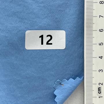 12 Pale Blue