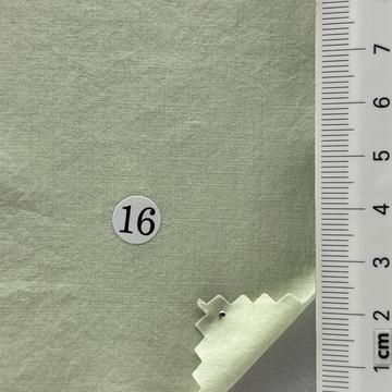 16 Pale Green