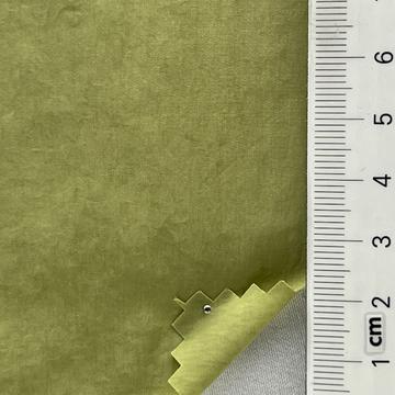 24 Pale Green