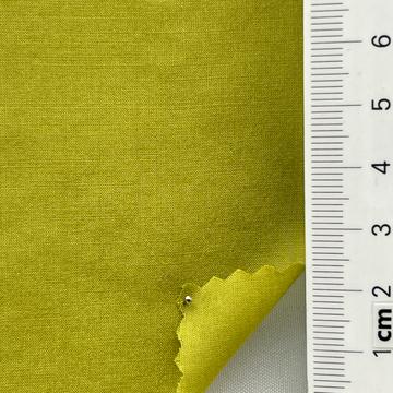 48 Pale Green