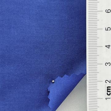 79 Blue