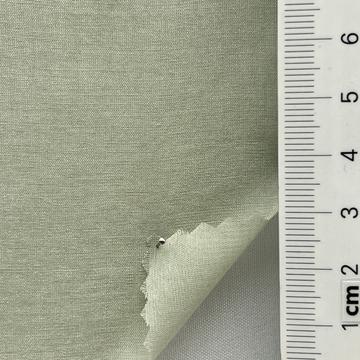 169 Pale Green
