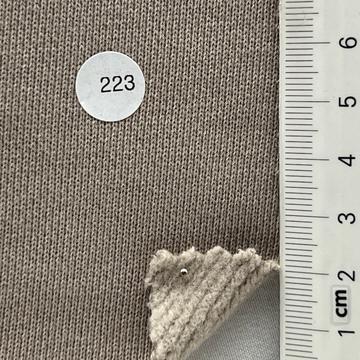 223 Ivory