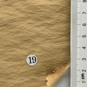 19 Camel