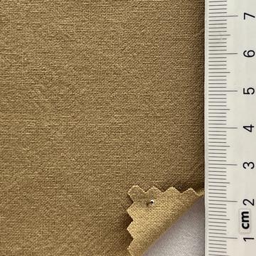 55 Beige