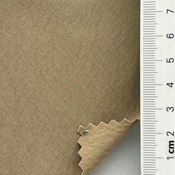 베이지 Beige
