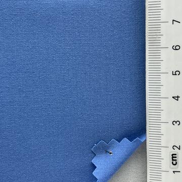 진소라 Pale Blue