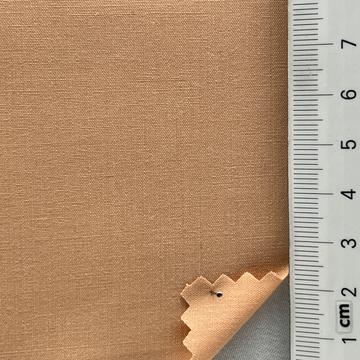 코랄 Pale Orange