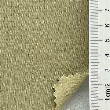 6 Pale Green