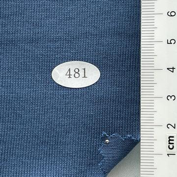 481 Blue