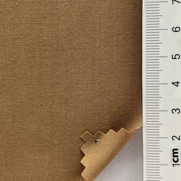 22 Camel