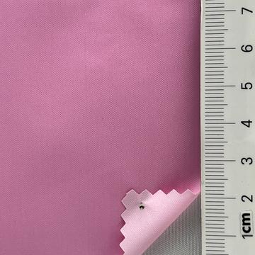 19 Pale Pink