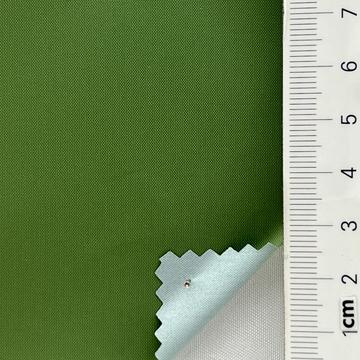 61 Pale Green