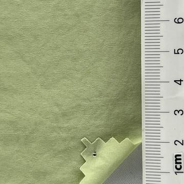 24 Pale Green