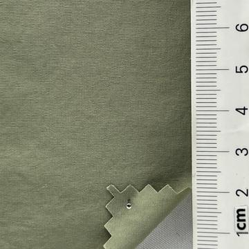 27 Pale Green