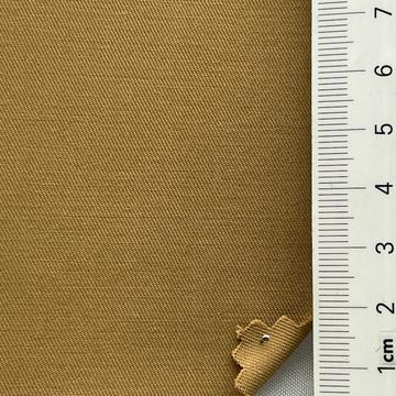 19 Camel