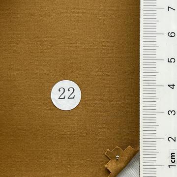 22 Camel