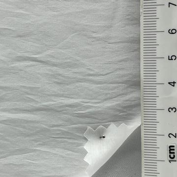 11 White