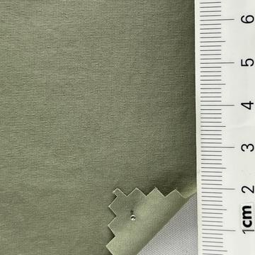40 Pale Green