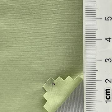5 Pale Green
